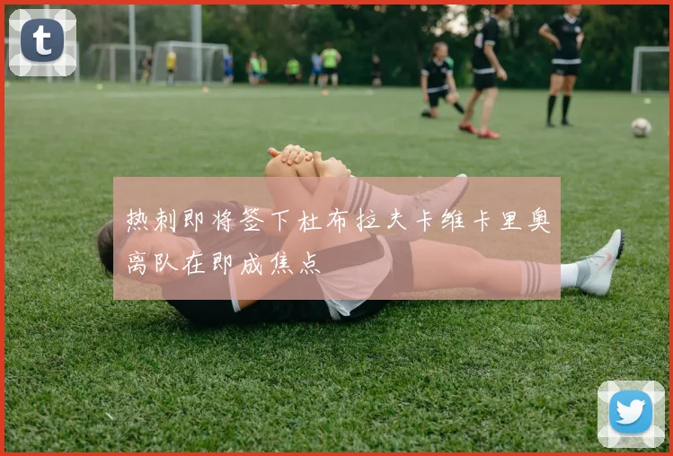 热刺即将签下杜布拉夫卡维卡里奥离队在即成焦点