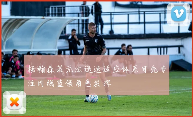 杨瀚森若无法迅速适应体系可先专注内线蓝领角色发挥