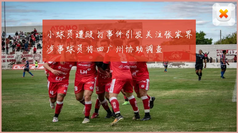 小球员遭殴打事件引发关注张家界涉事球员将回广州协助调查